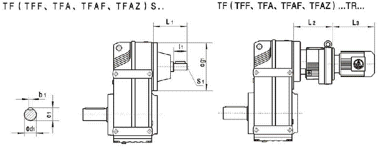 TF系列平行軸斜齒輪減速機(jī)